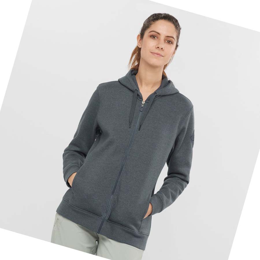 Sudadera Con Capucha Salomon ESSENTIAL WARM SALOMON Mujer Grises | MX 2515JPQ